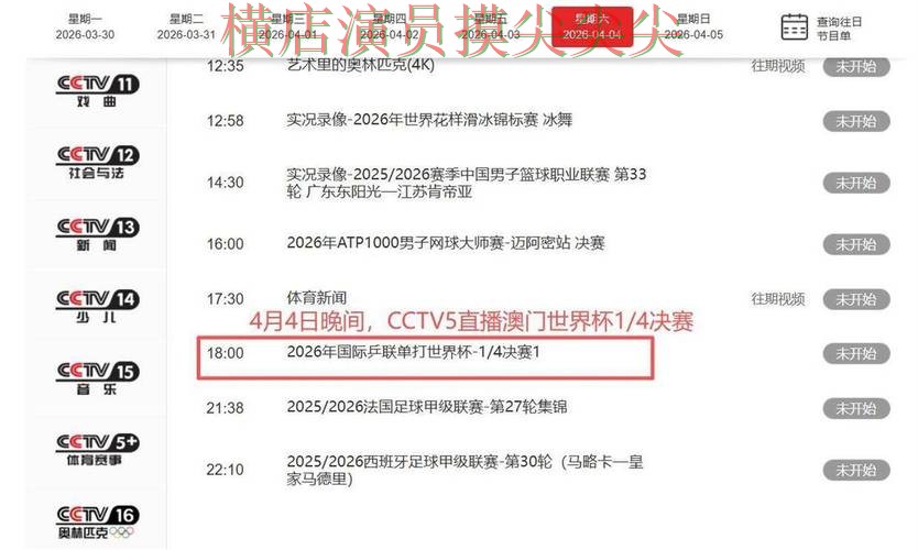 世界杯官方信息期间热门世界杯买球平台解析与直播入口分析 世界杯官方信息期间热门世界杯买球平台解析与直播入口分析